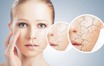 Сухая кожа лица: лечение
